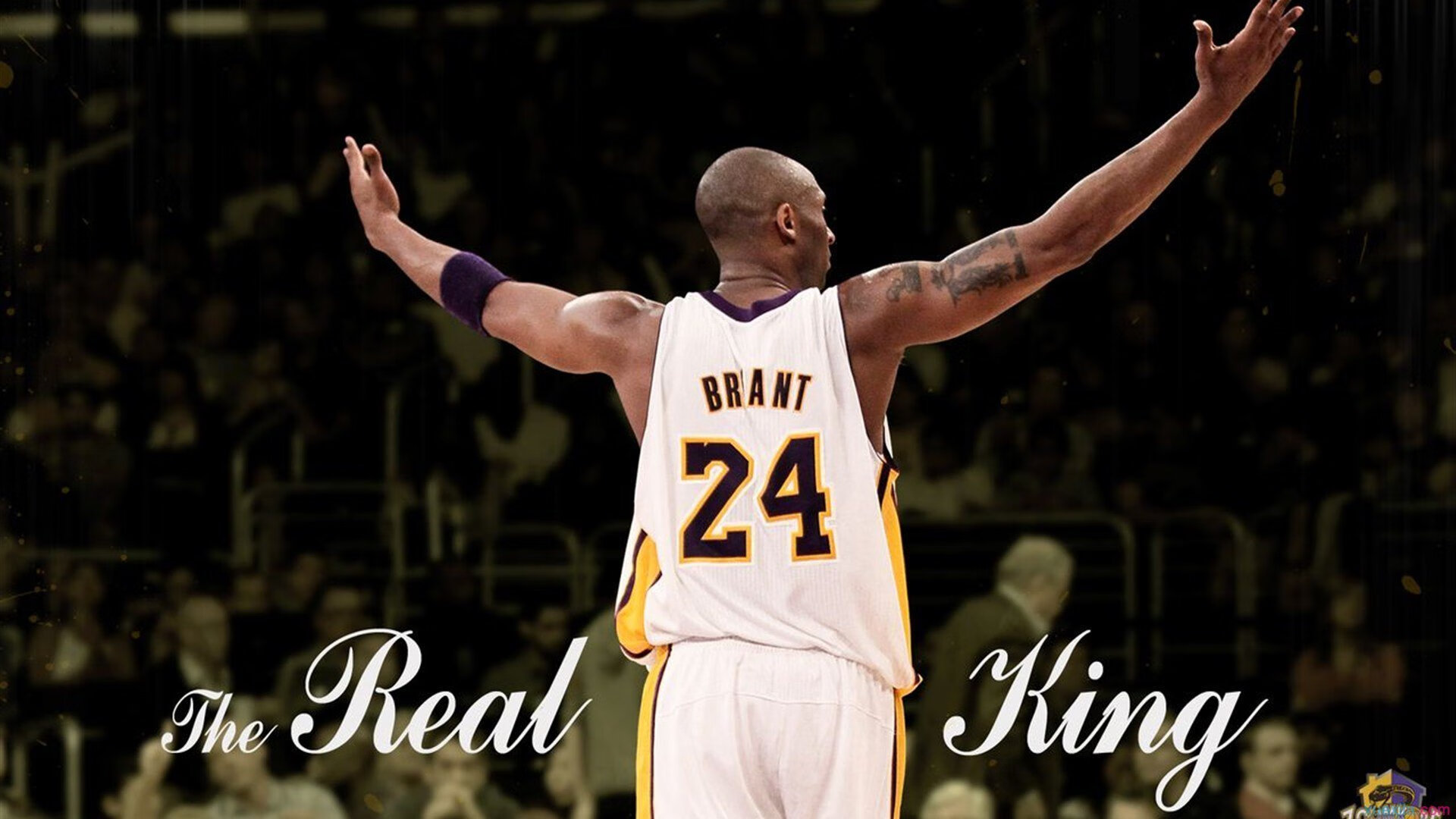 “萨尔·巴赫:南非橄榄球的希望,点燃全队士气”