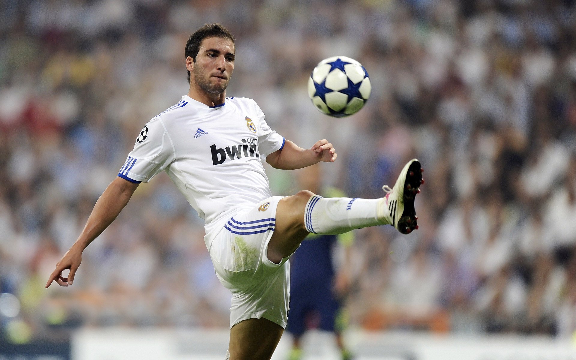 世界杯：家庭观赛包成为电商热卖品 红蓝相间的“中立球迷”款最受欢迎